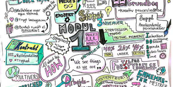 newsletter 2 - proceskonsulent