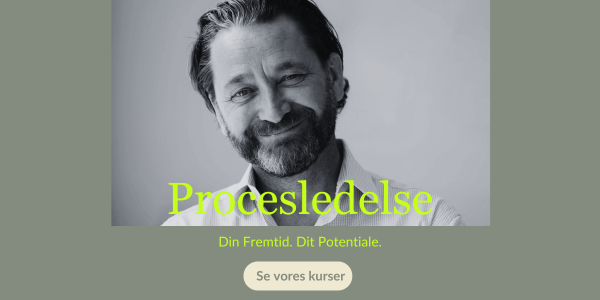 Din Fremtid. Dit Potentiale. - Procesledelse (2)